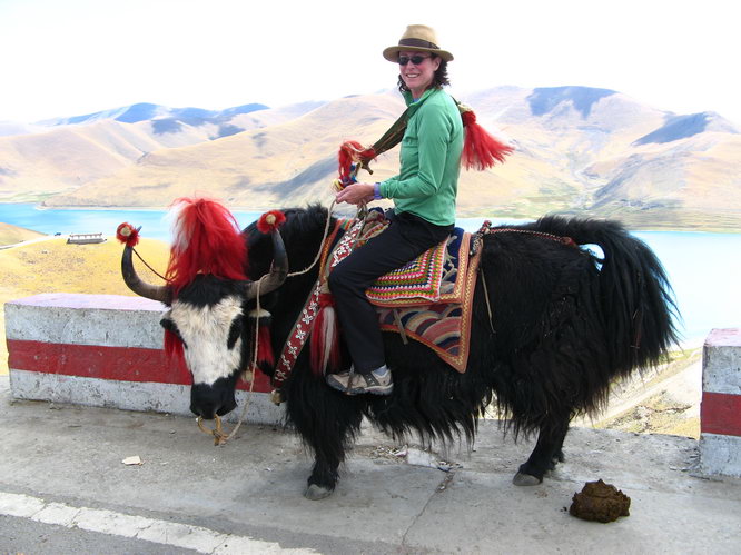 Janet modeling the latest in yak fashion. Watch your step getting down Janet! One step foward no steps back.